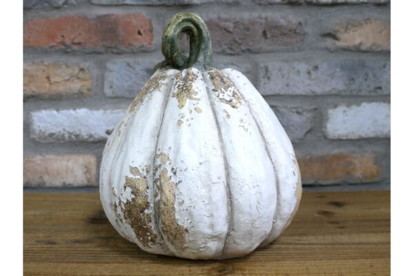 DF-DUT-11601-featured Pumpkin - Large