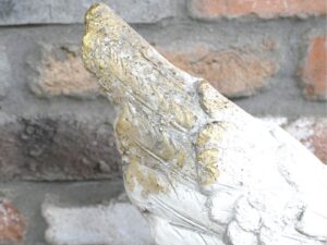 Angel Wing