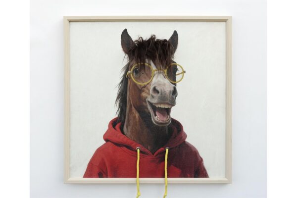 Horse In A Red Hoodie