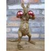 Kangaroo Boxer