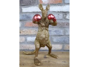 DF-DUT-11783-featured Kangaroo Boxer