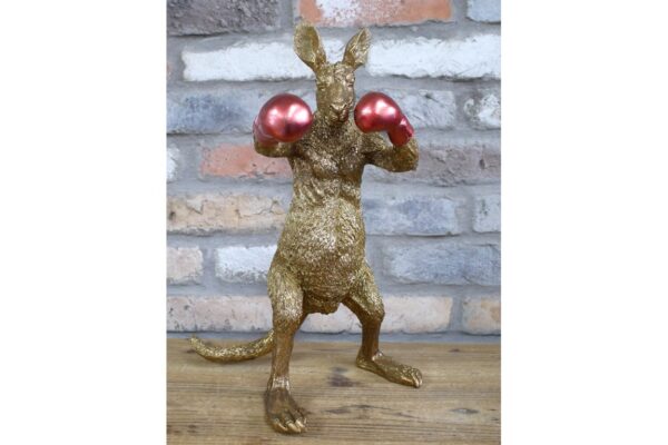 Kangaroo Boxer
