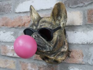 DF-DUT-11789-featured Dog Head Wall Decoration
