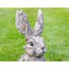 Rabbit - Wood Effect