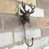 DF-DUT-5146-featured Stag Hook