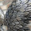 DF-DUT-7205-featured Angel Wings (75cm)