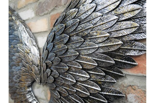 DF-DUT-7205-featured Angel Wings (75cm)