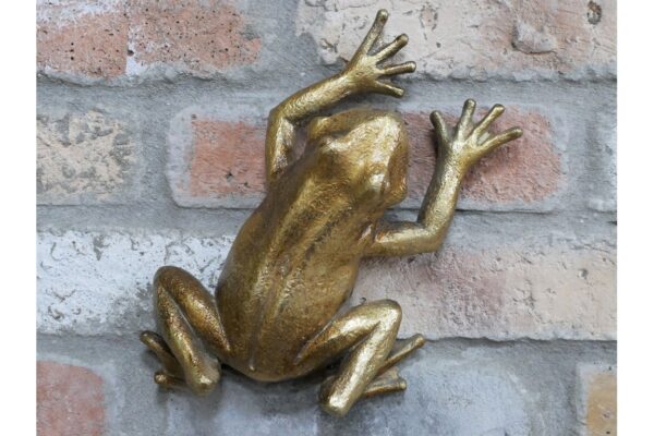 DF-DUT-8267-featured Frog Wall Decoration