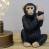 DF-DUT-8404-featured Up Yours Monkey - Small
