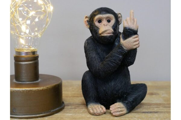 DF-DUT-8404-featured Up Yours Monkey - Small