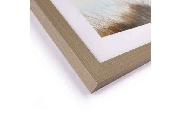 DF-GAL-5015807058227-featured Beyond the Dunes Framed Art