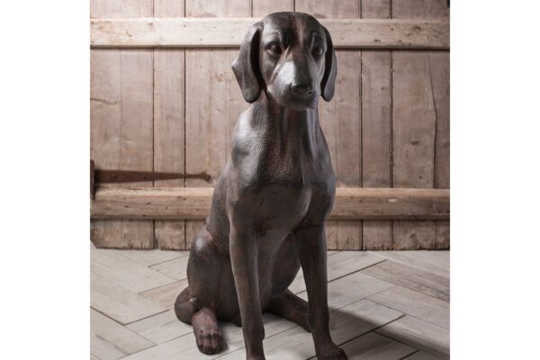 Digby Dog