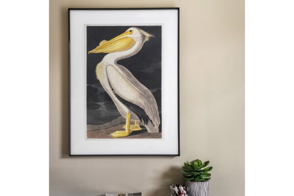 Pellicano Framed Art