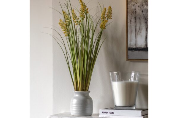 Potted Grass with Yellow Wildflower