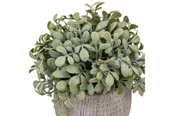 Potted Plant Ceramic Scratch Pots Sage Set of 2