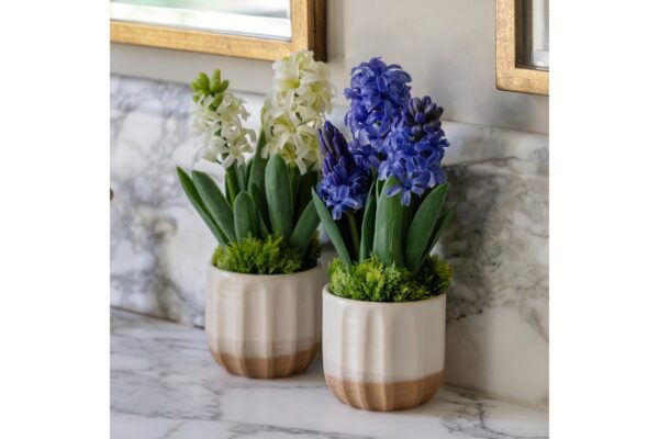Spring Hydrangea in Ceramic Pots Set of 2