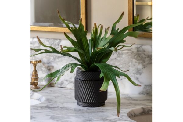 Faux Playycerium Multi Colour in Ceramic Pot