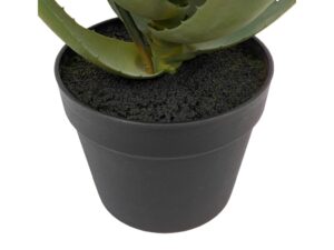 Aloe Potted Plant with Orange Flower