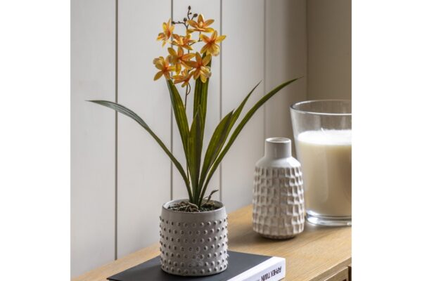 Orchid in White Ceramic Dot Pot