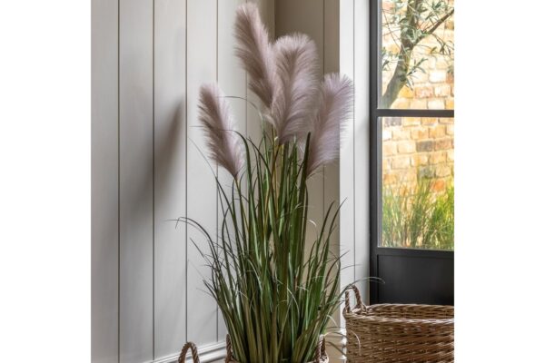 Potted Grass with Pampas Seed Heads