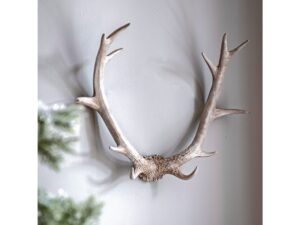 Bjorn Antler Wall Art White