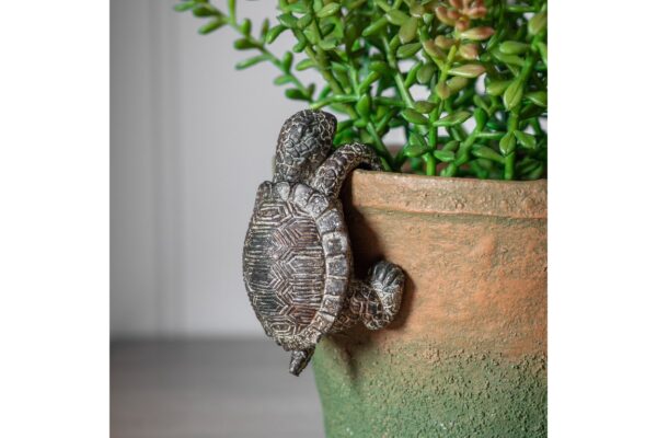 DF-GAL-5059413410857-featured Winston Tortoise Pot Hanger Natural (2pk)