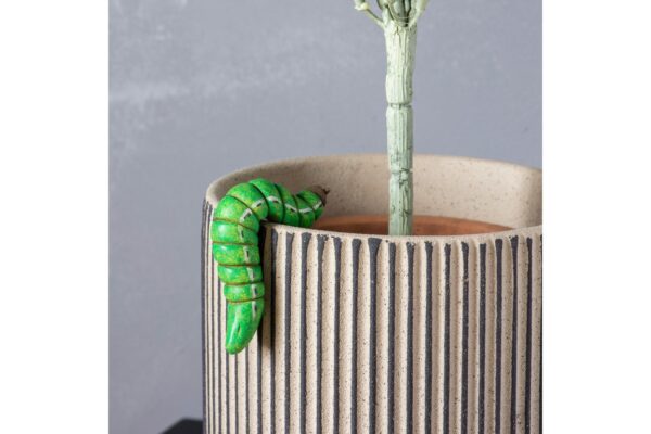 Jackson Caterpillar Pot Hanger (2pk)