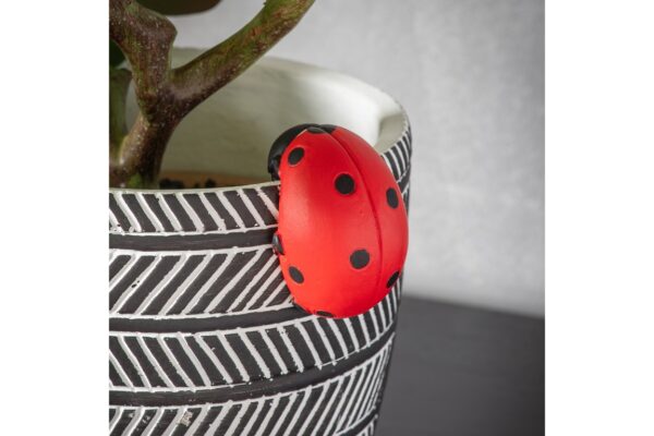 Eve Ladybird Pot Hanger (2pk)