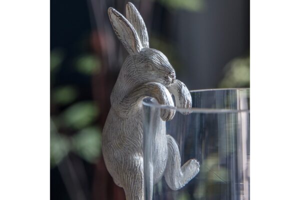 DF-GAL-5059413411038-featured Hare Pot Hanger