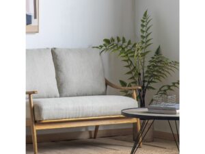 DF-GAL-5059413693991-featured Butterfly Fern Small