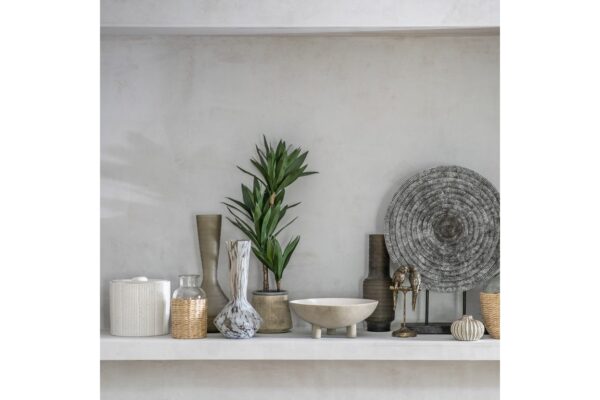 DF-GAL-5059413694295-featured Potted Yucca Green