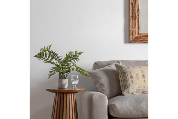 Potted Fern in Cement Pot