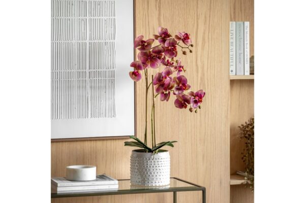 Orchid in Moss Ceramic Dot Pot