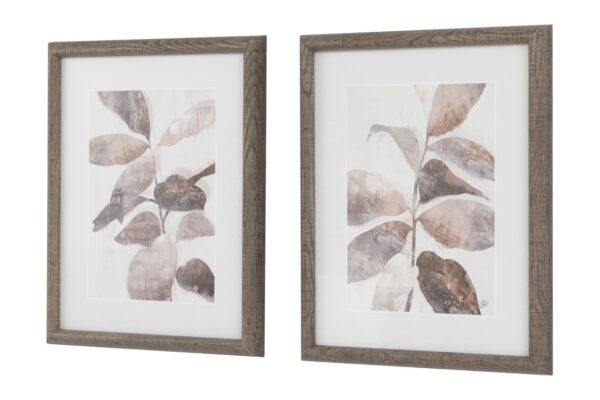 Natures Rhythm Framed Art Set of 2