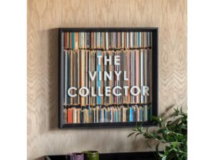 The Vinyl Collector Framed Art