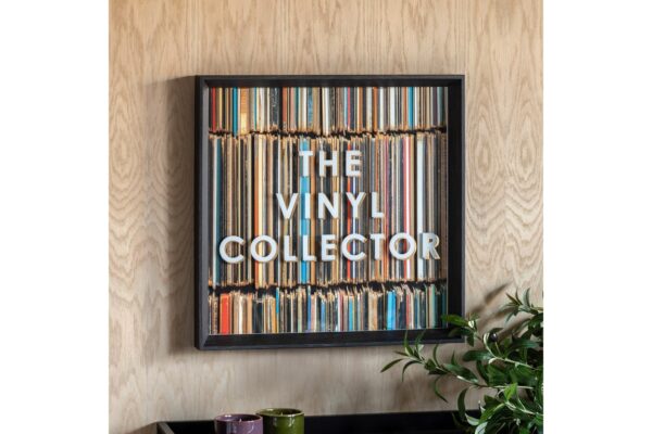 DF-GAL-5061087251933-featured The Vinyl Collector Framed Art