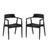 Set of 2 Franklin Dining Chair