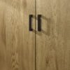 Harlow 2 Door Wardrobe