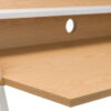 Palmer Desk