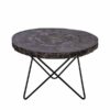 Petrified Wood Round Coffee Table
