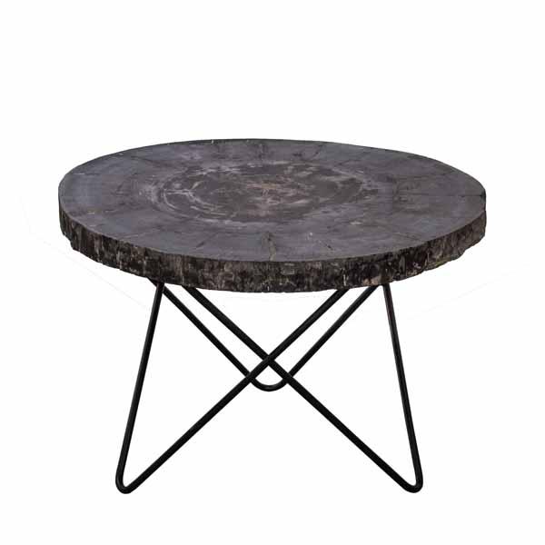 Petrified Wood Round Coffee Table