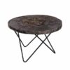 Petrified Wood Round Coffee Table