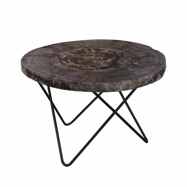Petrified Wood Round Coffee Table