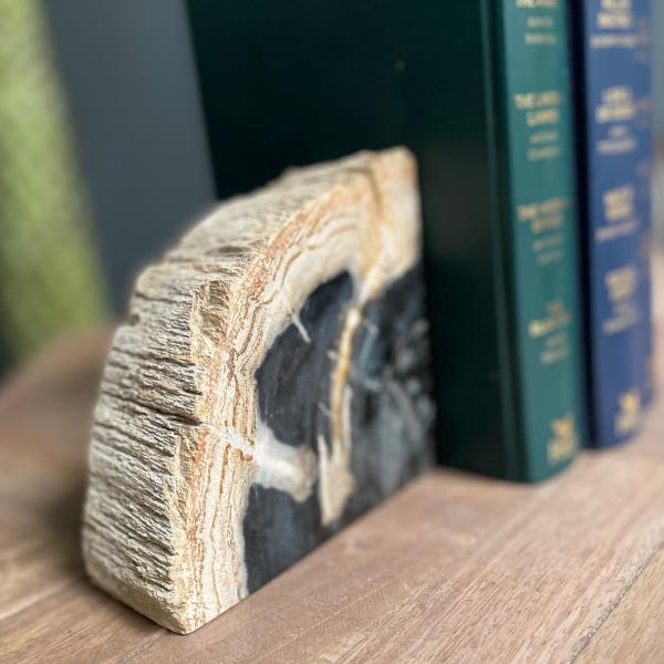 page_3070.jpg Petrified Wood Pair of Bookends