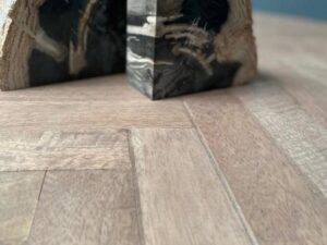 Petrified Wood Pair of Bookends