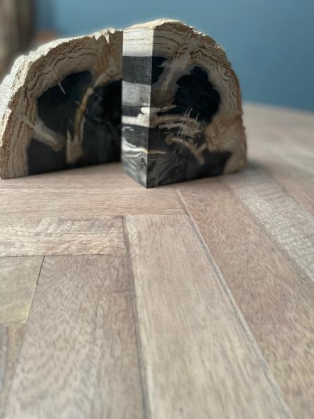 page_3071.jpg Petrified Wood Pair of Bookends