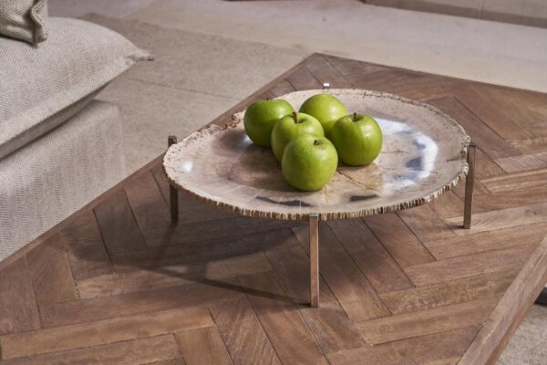 Petrified Wood Platter