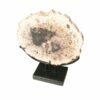 page_3101.jpg Petrified Wood Chopping Board Décor