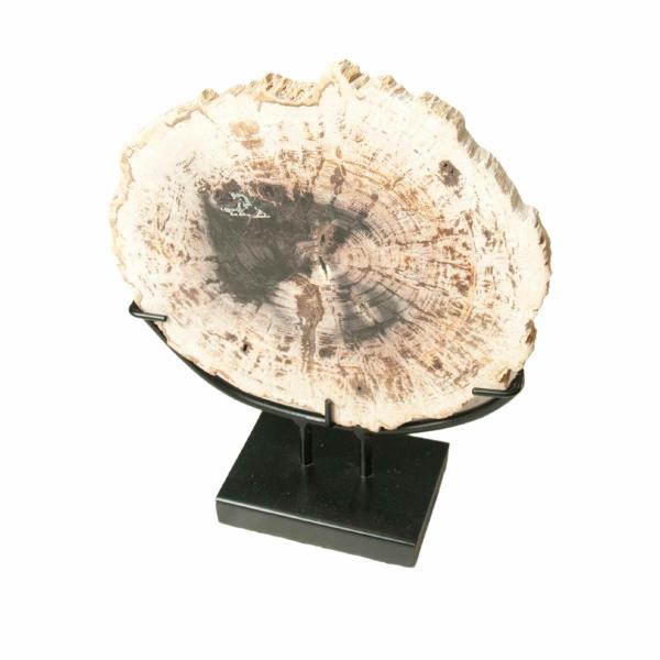 page_3101.jpg Petrified Wood Chopping Board Décor