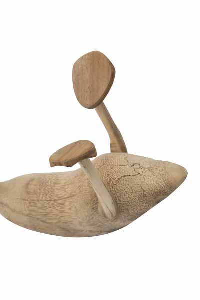 Drunken Duck Bottle holder (Pack of 4)
